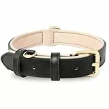 HEELE Hundehalsband, Leder mit Neopren gepolstert, Verstellbar, für Welpen bis Große Hunde, Schwarz, S