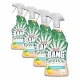 Cillit Bang Natürlicher Kraftreiniger Bad – Gegen Kalk & Schmutz – Inhaltsstoffe zu 100% natürlichen Ursprungs – 1 x 750 ml Badreiniger (Packung mit 4)