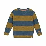 Noppies Boys Pullover Rainelle Long Sleeve