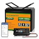 ECO-WORTHY 12V 100Ah LiFePO4 Bluetooth mit 12/24V 20A Ladegeräte,Lithiumbatterie 12V 100AH mit BMS Low Temperature Schutz für Wohnmobil,Boot,Wohnwagen