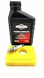 Outdoor Spares Rasenmäher-Service-Set, kompatibel mit Briggs & Stratton Motor-Modellen 450E, 500E und 550E