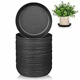 30 Stück Blumentopf Untersetzer, 11cm Runder Pflanzenuntersetzer, Kunststoff Schwarz Wasserauffangschale für Sukkulenten, Kakteen & Anzucht, Tropfschale Unterteller für Innen & Außen Pflanzen