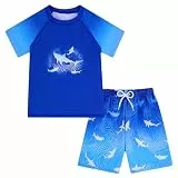 ALISISTER Jungen Bade Set Badeanzug 2 teilig Rash Guard Kurzarm Schwimmbekleidung Surf Badeshorts mit Mesh Futter