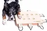 My Intelligent Dogs Interaktives Hundespielzeug Intelligenz, Hundepuzzle - Intelligenzspielzeug für Hunde Mentalen Auslastung - Interaktives Spielzeug Hund, Denkspiele für Hunde iPet