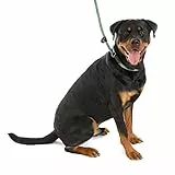 COMPANY OF ANIMALS 3-in-1 Retrieverleine, All-in-One Produkt. Weich, bequem und wetterresistent, Hundekurzleine für stark ziehende Hunde. (Größe Groß, Grün, 1.7 m)