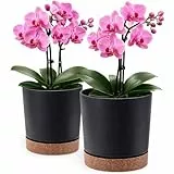 PECZEKO Blumentopf matt, Pflanzkübel aus Übertopf Kunststoff Dekorativer Topf für, groß und klein Pflanzen, 2er-Set blumenkübel, blumenkübel kräutertopf (2 Pack) Anthrazit, ø 20 cm