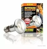 Exo Terra Intense Basking Spot, Wärmespotlampe, R20, 25W, Fassung E27, 1 Stück (1er Pack)