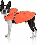 Bella & Balu Hunderegenmantel - Wasserdichter Hundemantel mit Kapuze und Reflektoren für trockene, sichere Gassigänge, den Hundespielplatz und den Urlaub mit Hund (S - Orange)