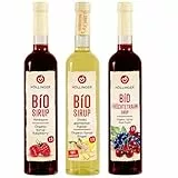 Höllinger Bio Sirup Set, Himbeere, Früchtetraum, Ingwer, Vegane Getränkesirup ohne Konservierungsstoffe, 3 x 500ml Glasflaschen