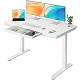 ErGear Schreibtisch Höhenverstellbar, 120 x 60 cm Elektrischer Höhenverstellbarer Schreibtisch mit Schublade, Sitz- und Stehschreibtisch für Home Office (Weißer Oberteil+ Weißer Rahmen)