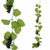 Deco Woerner Künstliche Weinrebenranke mit Früchten 180 cm
