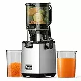 Fretta Entsafter Slow Juicer Machine, Entsafter Gemüse und Obst Testsieger, 250W Edelstahl Saftpresse Elektrisch Obstpresse mit 120mm Großem Öffnung, Leicht zu Reinigen, Umkehrfunktion, BPA Frei