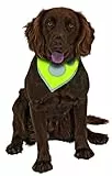 Karlie Safety Dog