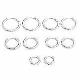 JSDDE 10er Kleine Creolen Ohrringe für Damen Herren, Chirurgenstahl Knorpel Huggie Ohrringe, Hoop Ring Huggie Kreolen Ohrringe, Tragus Helix Schlafen Ohrringe 8-16mm