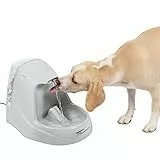 PetSafe Drinkwell Trinkbrunnen Platinum, 5 Liter, BPA frei, natürlicher Filter, leise, rutschfest, Wasserbrunnen für Hunde und Katzen