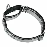 Hyhug Martingale Nylon Klassische Halsbänder ，Anti-Flucht Hundehalsband. 3M Reflektierender Streifen, Komfortabel Verstellbar, Sicherer Nachtspaziergang