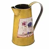 Cabilock Vintage Blumenvase Garten Gießkanne Rustikaler Blumentopf Blumeneimer Landhaus Vase Metall Eisen Eimer Retro Übertopf Tischvase für Balkon Büro Schreibtisch Deko Wohnzimmer Tischdeko