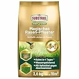 Substral Magisches Rasen-Pflaster, 4in1 Rasenreparatur Rasensamen + Premium Keimsubstrat + Dünger und Haftmittel, 3,6 kg, blau