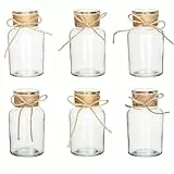 Kleine Vasen für Tischdeko, 6 Stück Mini Glasvasen, Vintage Vasen Set, ischvase Blumenväschen, Glasflaschen, Mini Dekoflaschen, Kleine Blumenvase für Hochzeit Tischdeko (Rund-A)