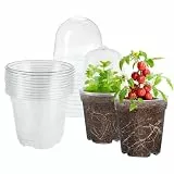 10 Stück Anzuchttöpfe Rund mit Feuchtigkeitskuppel und Deckel, blumentopf klein plastik，10.5cm Ø Klar - Kunststoff Pflanztöpfe für Sukkulenten, Orchideen, Samen und Stecklinge (Transparent mit Deckel)
