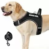 FAYOGOO Service Dog Vest for Large Dogs – Air-Mesh, atmungsaktive emotionale Unterstützung, Tierweste mit abnehmbaren Flicken, Hundegeschirr und Leine, verstellbar, Hals und Brust (Schwarz, XXL)
