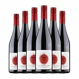 Domaine de Nizas Mazet Rouge Syrah Vin de Pays d'Oc 75 cl Rotwein (Karton mit 6 Flaschen von 75 cl)