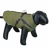 Nobby Hundemantel SALUS 2 in 1, grün, 20 cm, 1 Stück
