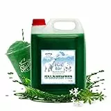 Ice Bär Slush Konzentrat Waldmeister Geschmack 5 L | Ergibt 30 L Slush | Glycerinfrei & AZO-frei | Fertigmix ohne Zuckerzusatz | Sirup für Slushmaschine & Frozen Drinks | Made in Germany