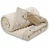 Babydecke Kuscheldecke Baby Decke Ganzjahresdecke mit Plüschstoff 75x100 cm - Kinderdecke Kinderwagen Blanket Babydecken Kinderwagendecke und Erstausstattung für Neugeborene und Kinder Oeko-Tex