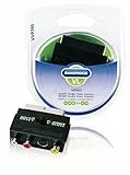 Bandridge AV-Adapter (Scart-Stecker auf S-Video-Buchse und 3-Fach-Cinchstecker)