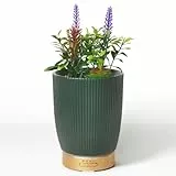 Earnest Living Ätherisches Öl Diffusor Keramik Künstliche Sukkulenten Pflanzen Topf Diffusor 100 ml für Lavendel ätherische Öle Timer Nachtlichter und Auto-Aus-Funktion Luftbefeuchter Aromatherapie