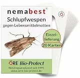 nemabest® Schlupfwespen gegen Lebensmittelmotten - 20 Karten à 1 Lieferung zur effektiven Bekämpfung - biologische Alternative zur Mottenfalle oder Pheromonfalle