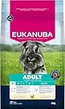 Eukanuba Hundefutter Trocken mit frischem Huhn für kleine Rassen, Premium Trockenfutter für ausgewachsene Hunde, 3 kg
