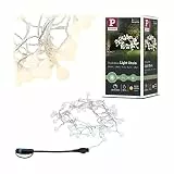 Paulmann 94558 Plug & Shine LED Außenleuchte Lichterkette IP44 Warmweiß dimmbar Schwarz Kunststoff 3000 K