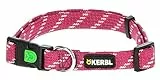 Kerbl Pet Halsband Colorado, Fuchsia, 25 mm / 40-65 cm