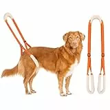 Lollanda Gehhilfe für Hunde Hinten, Tragehilfe für Hunde, Hundegeschirr für Die Hinterbeine, Gehhilfe Hunde zum Unterstützung für Kranke Hund, Älterer Hund, Fördert die Mobilität des Hundes (Orange)