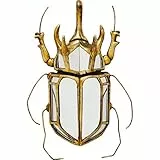 Kare Design Wandschmuck Beetle Mirror, Gold, Wandschmuck, Käfer, Glas verspiegelt, handgefertigt, 39x25x6 cm (H/B/T)