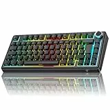 TECURS 75% Gaming Tastatur Kabellos, DREI-Modus 2.4GHz/BT5.0/Type-C RGB Rote Schalter Mechanische Tastatur, Hot Swap, Seitliche Gravur PBT-Tastenkappen mit Drehknopf, QWERTZ (Schwarze)