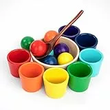 Jeesblsy Bälle in Tassen Montessori Spielzeug, Farbe Sortierung und Zählen, Holz Sorter Spiel 7 Farben Matching Toy für Kinder Jungen Mädchen ab 3 Jahr (Bunt)