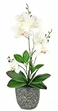 Kunstblume Schmetterling Orchidee mit Blätter und Luftwurzeln im Topf aus Keramik Künstliche Blume Kunstorchidee Phalaenopsis mit Übertopf Kunstpflanze Hochzeit Deko Seidenblume Real Touch Blüte