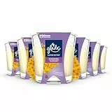Glade Duft-Kerze im Glas, 6er Pack, Blooming Flowers, bis zu 27 Stunden Brenndauer (6 x 112g)