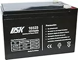 DSK 12V 12Ah Blei-Säure-Batterie, ideal für Hausalarmanlagen, elektrisches Spielzeug, Zäune, Waagen, Schwarz 10325