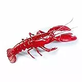 Deco Woerner Hummer Lebensmittel-Attrappe 50 cm lang Fake-Hummer Dummy Deko künstlich Rot 1 Stück