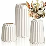 Lighterday 3er Boho Vase Set,Keramik Vasen Modern Vasen Deko,Beige Vase Blumenvase,KleineVasen Für Pampasgras Blume,FürWohnzimmer Tisch Fensterbank Deko (Weiß-A)