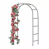 Forever Speed Rosenbogen aus Metall Rankgitter Rosenhilfe aus Pulverbeschichtetem Stahl, Garten Decoration und Verzierung Kletterer wetterfest 240 x 140 x 38 cm/Schwarz