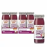 Voelkel - Bio Ingwer-Beere Shot mit Vitmain C - 16er-Pack - Demeter-Qualität aus Deutschland
