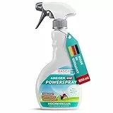 RASCH HOME DEFENDER® Ameisenspray für Innen & Aussen [500ML] - Effektives Ameisen Spray - ameisenmittel Garten gegen alle Ameisenarten - Langzeitwirkung Spray gegen Ameisen - Antspray - Ameisenabwehr