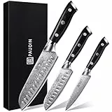 PAUDIN Damastmesser set, Messerset 3-teilig, Damast Küchenmesserset mit Ultra Scharfes Santokumesser Küchenmesser aus 67 Schichten Damaststahl mit Japanischem VG10 Stahl Kern, Ergonomischer G10 Griff