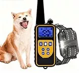 Hunde-Halsband,Hundehalsbänder,Klassisches,Hundehalsband, Hundehalsband Hund Neuheit,längenverstellbar,Geeignet für alle Arten von Hunden (aa2)