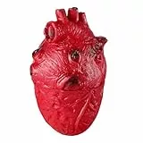 CALLARON Realistische Herz-Halloween-Requisite 15 x 9 Cm Schaum Gruseliges Simulationsherz Falsches Herz Blutiges Simulationsherz Halloween-Streiche Spielzeugdekoration Für Spukhaus-Bar